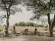 D&uuml;rre im Niger HEKS  (Foto: Ollivier Girard)